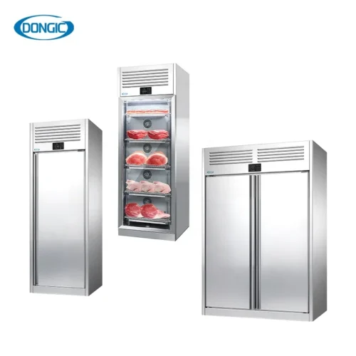 Thawing Air Drying Dehumidifying Vertical Beef Aging Cabinet Chicken Roast Storage Cabinet